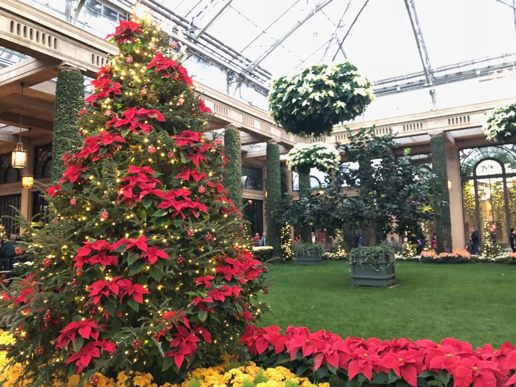 Member Trip To Winter Lights At Longwood Gardens Grounds For