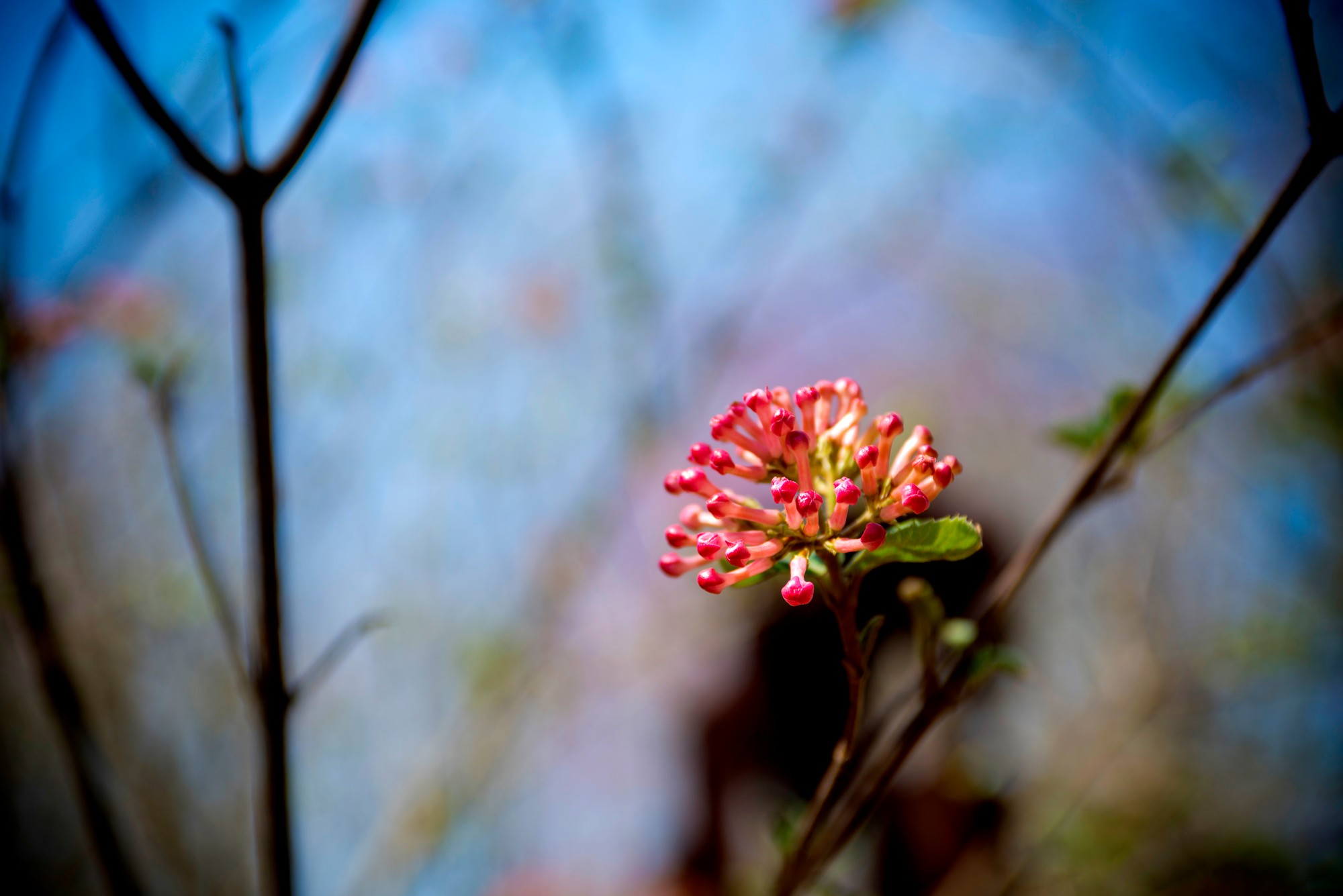 First Sightings of Spring Tour - March 25