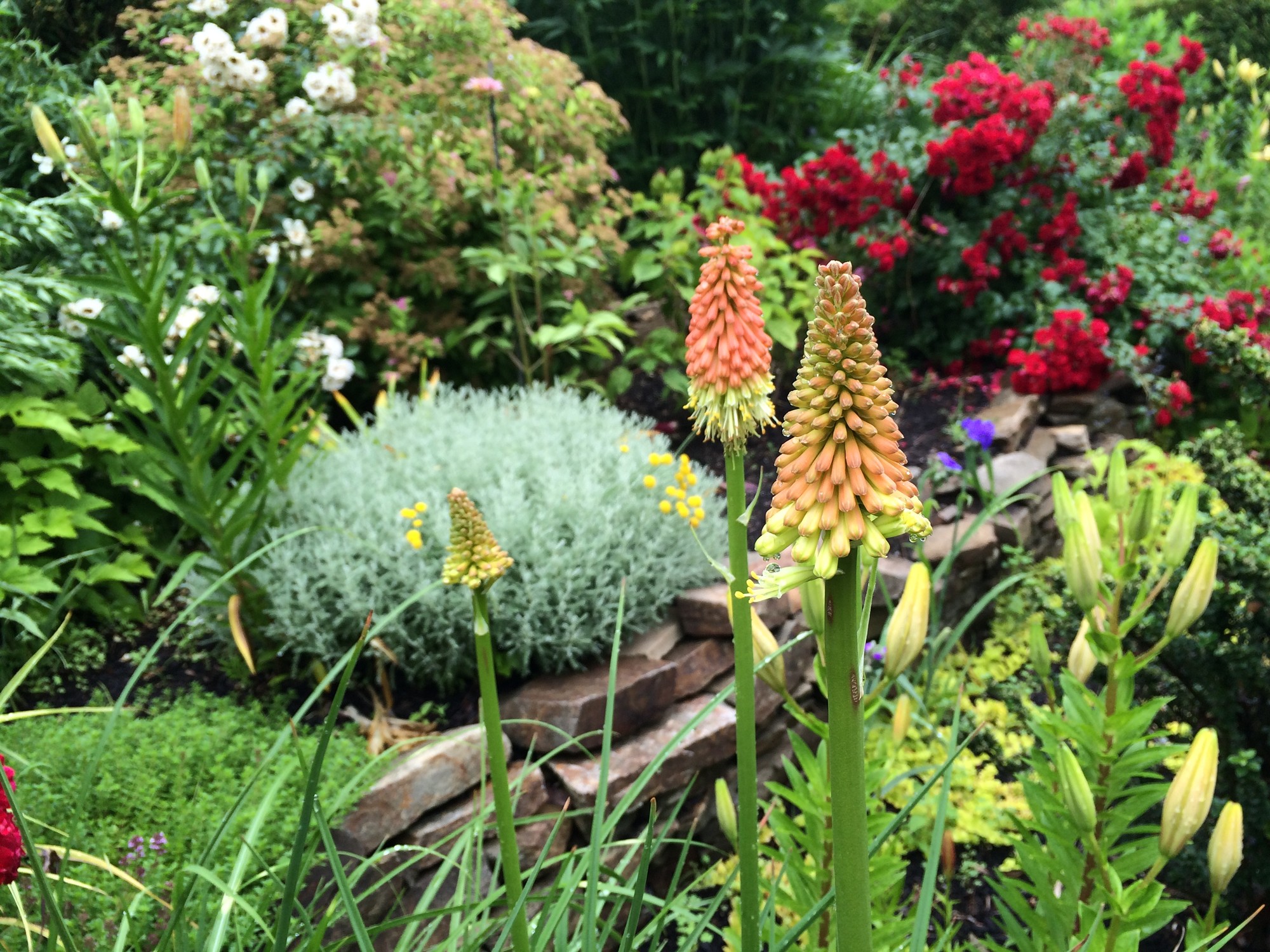 Postponed Spring In Bloom Grounds For Sculpture