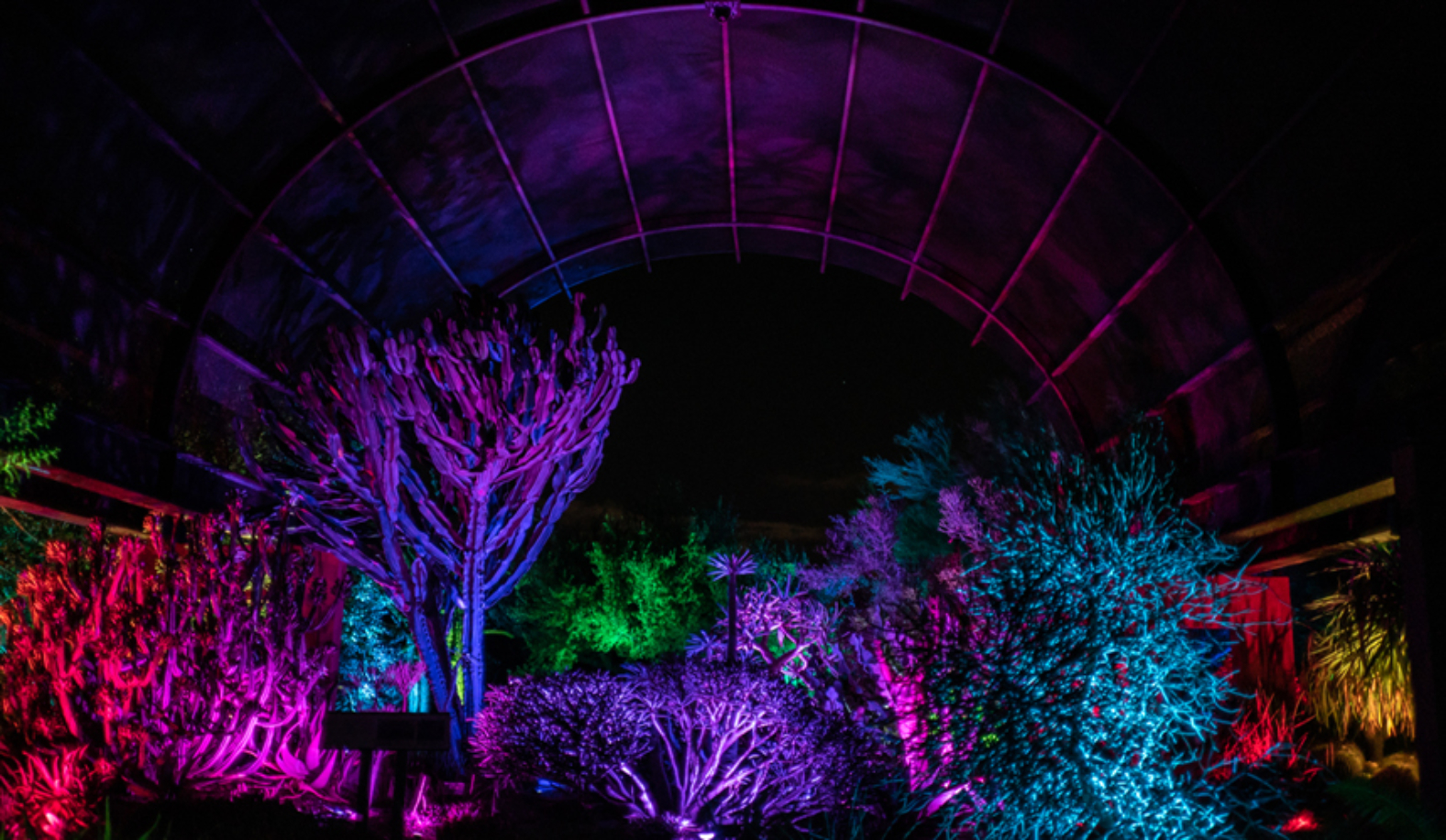 Night Forms dreamloop by Klip Collective Grounds For Sculpture