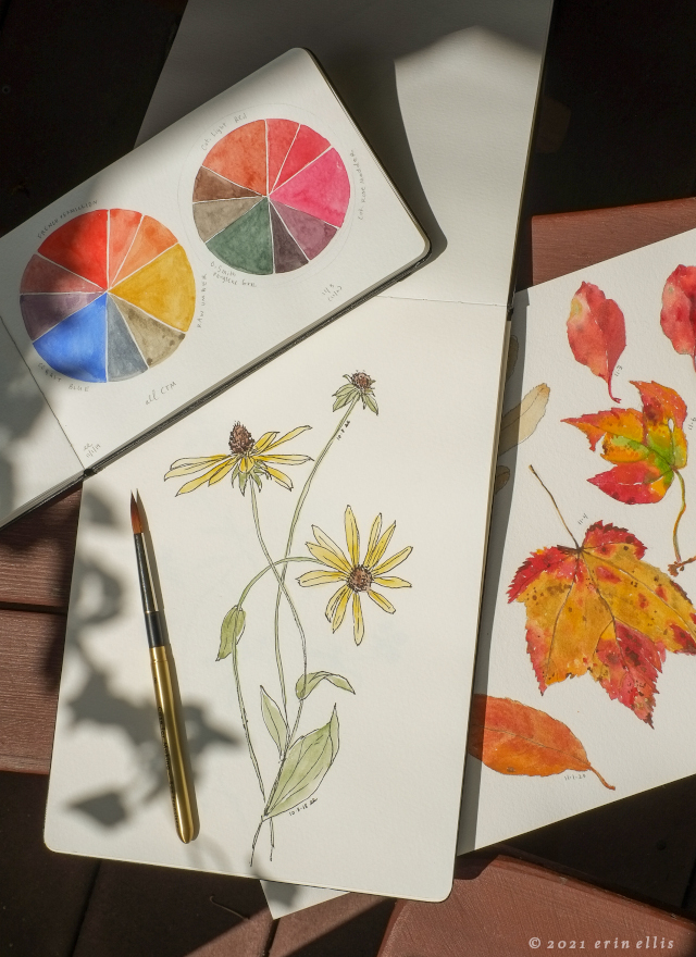 Creating Connections: Botanical Studies In Color