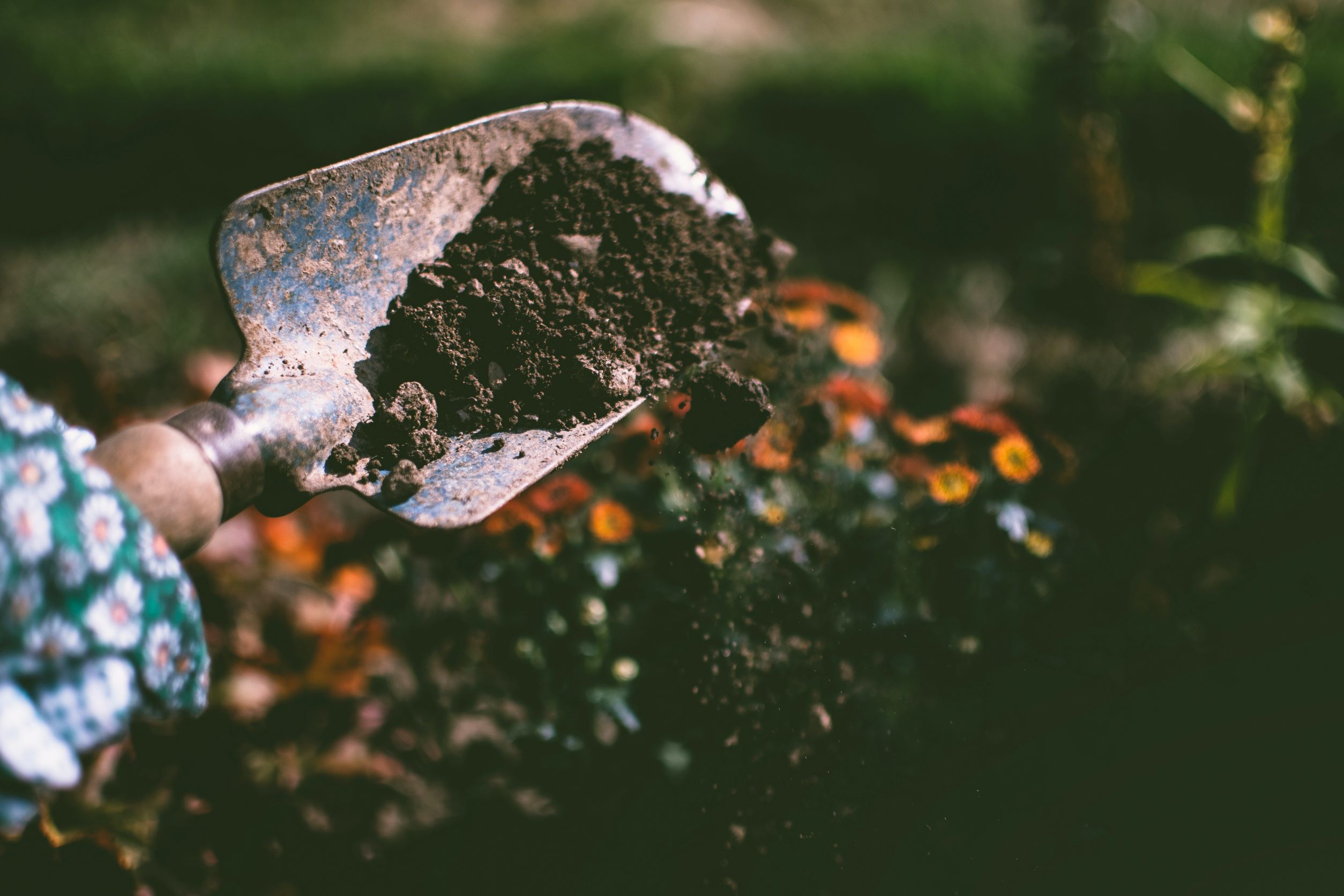 Introduction to Composting