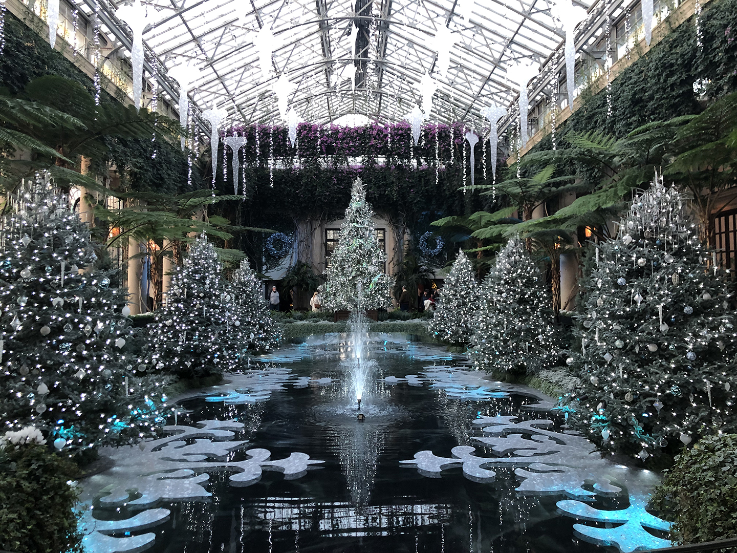 Member Trip to Brandywine Museum of Art & Winter Lights at Longwood Gardens