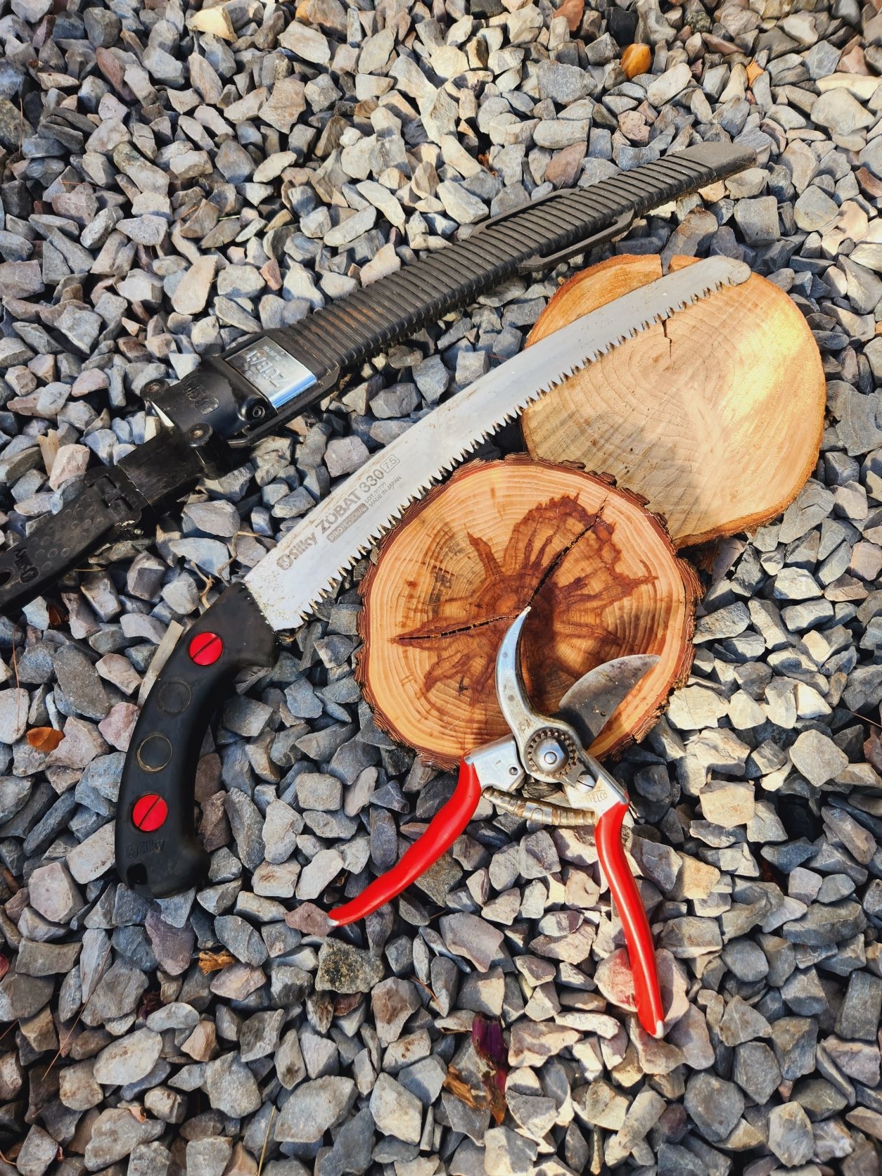 Garden Maintenance: Tree & Shrub Pruning