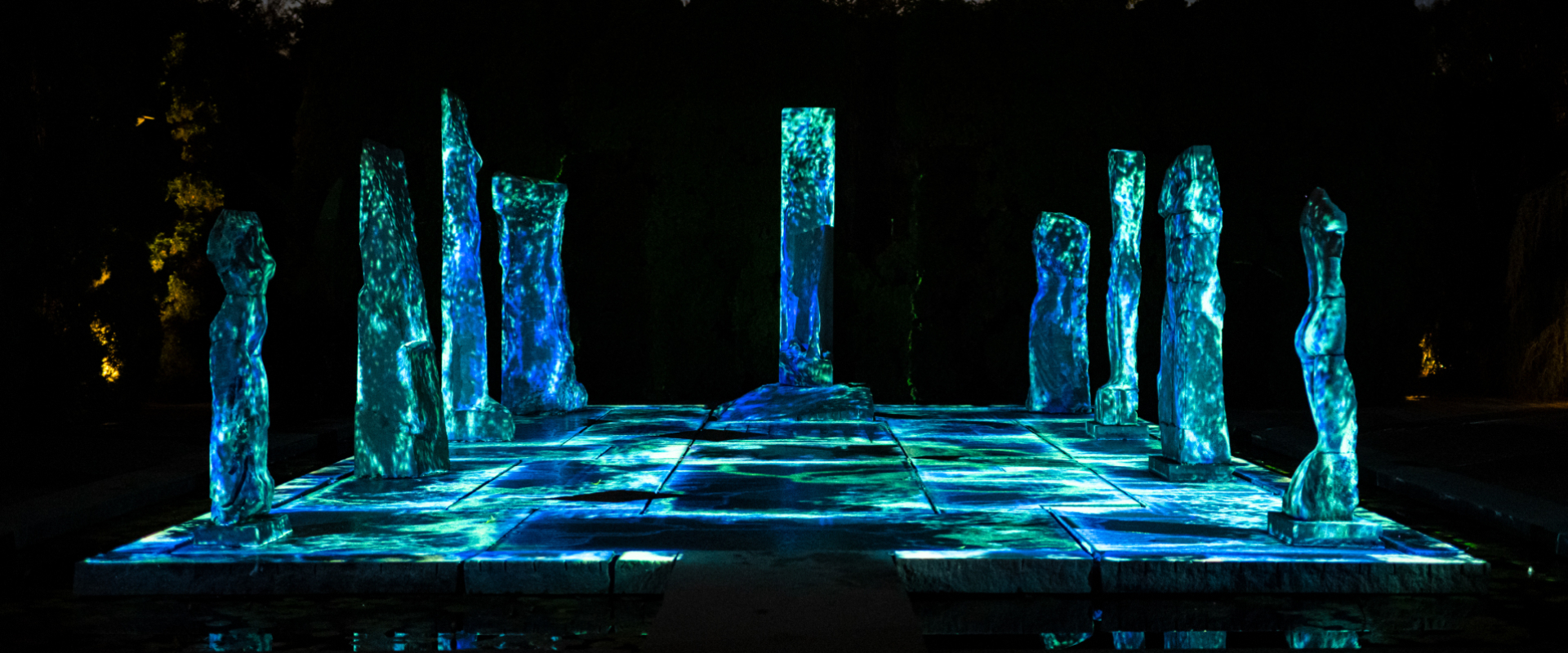 Night Forms | Timed Admission Tickets