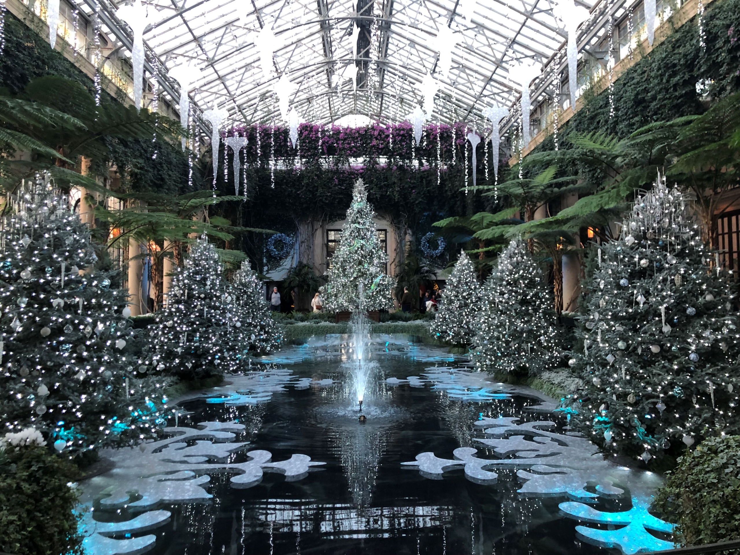 Member Trip to Winter Lights at Longwood Gardens 1