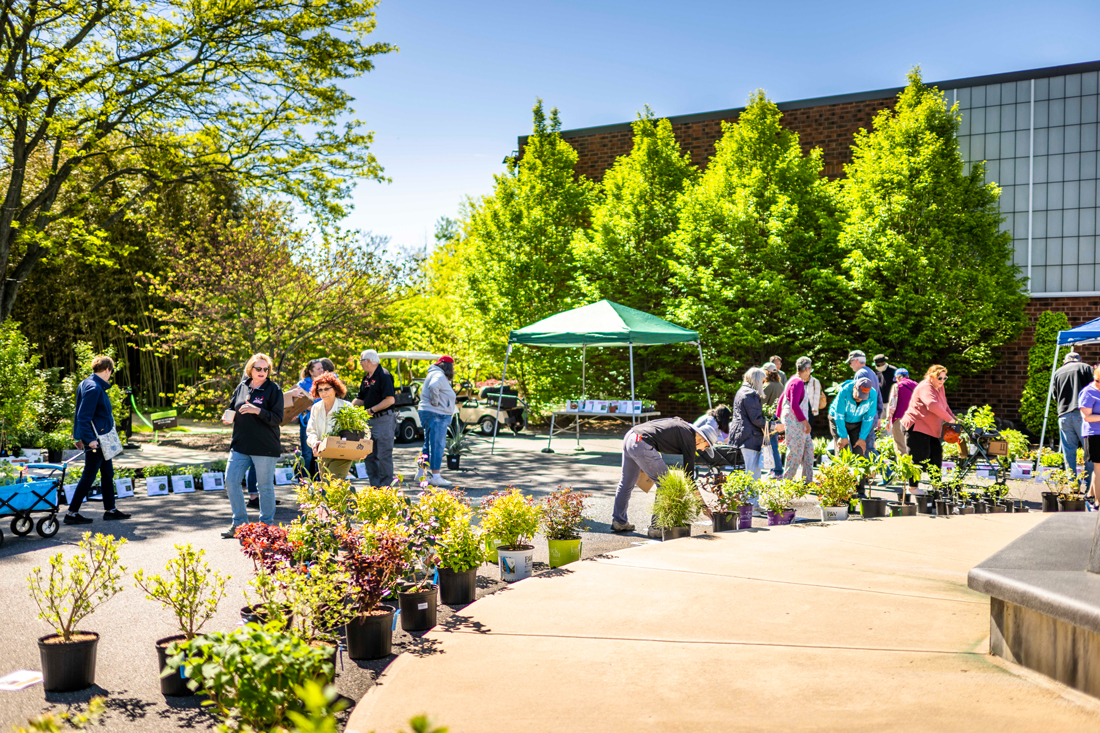 FROM OUR GROUNDS TO YOURS: GFS PLANT SALE 4