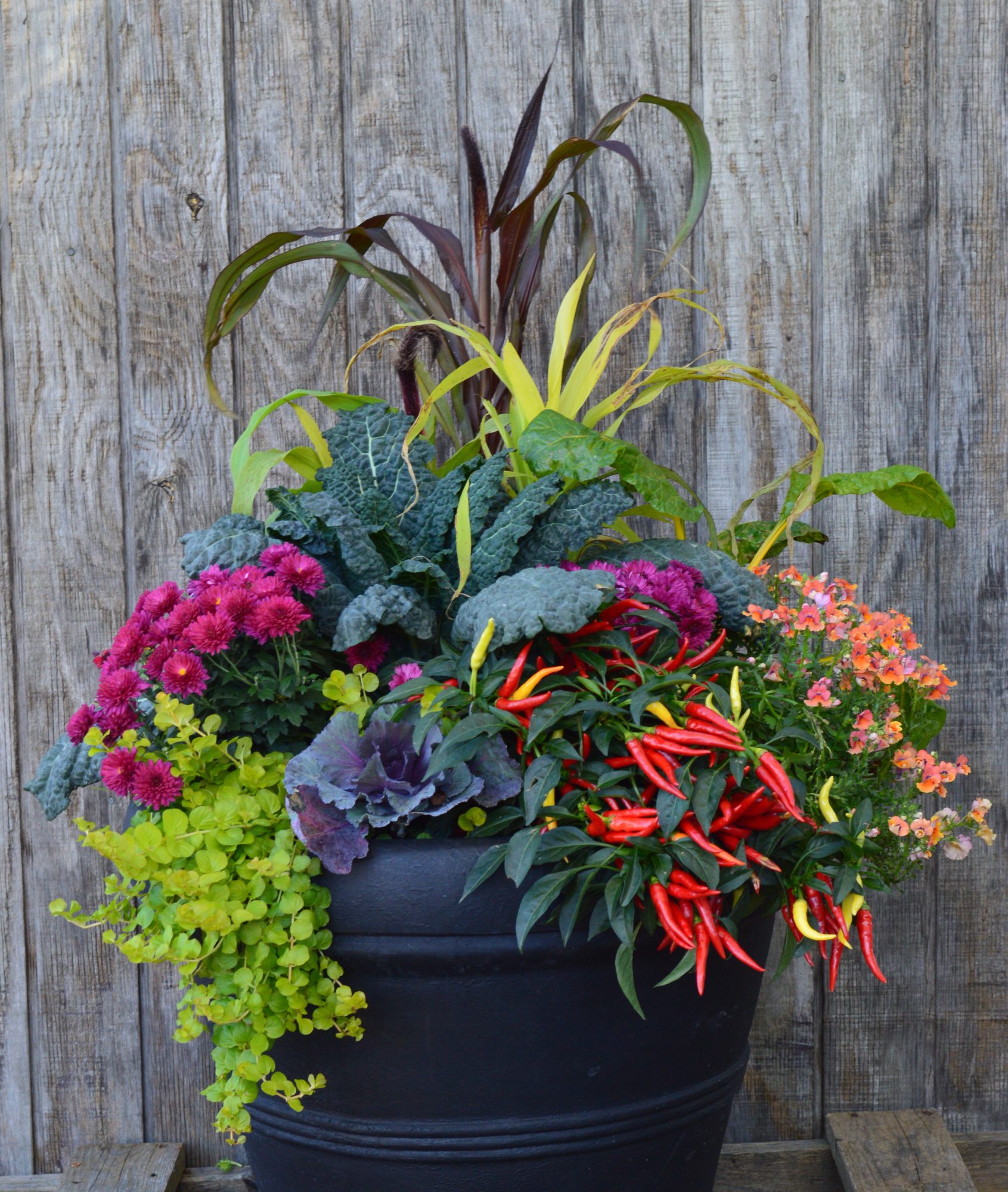 A large black container, filled with greenery and colorful flowers