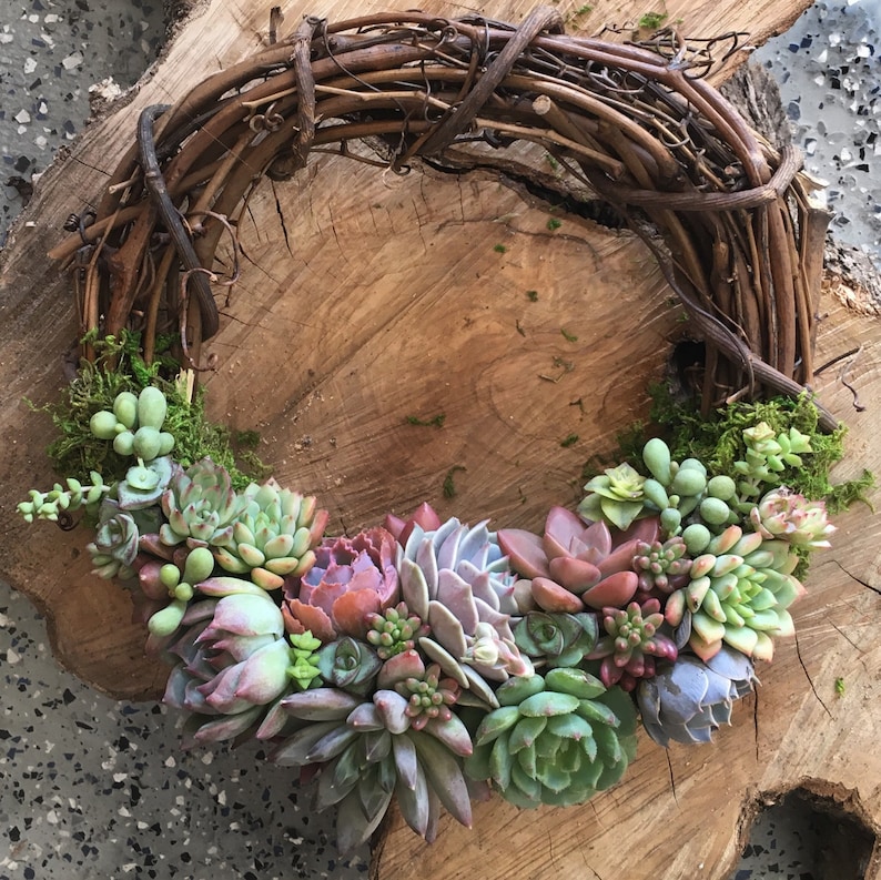 A wreath made of wood and decorated at the bottom with a variety of colorful succulents