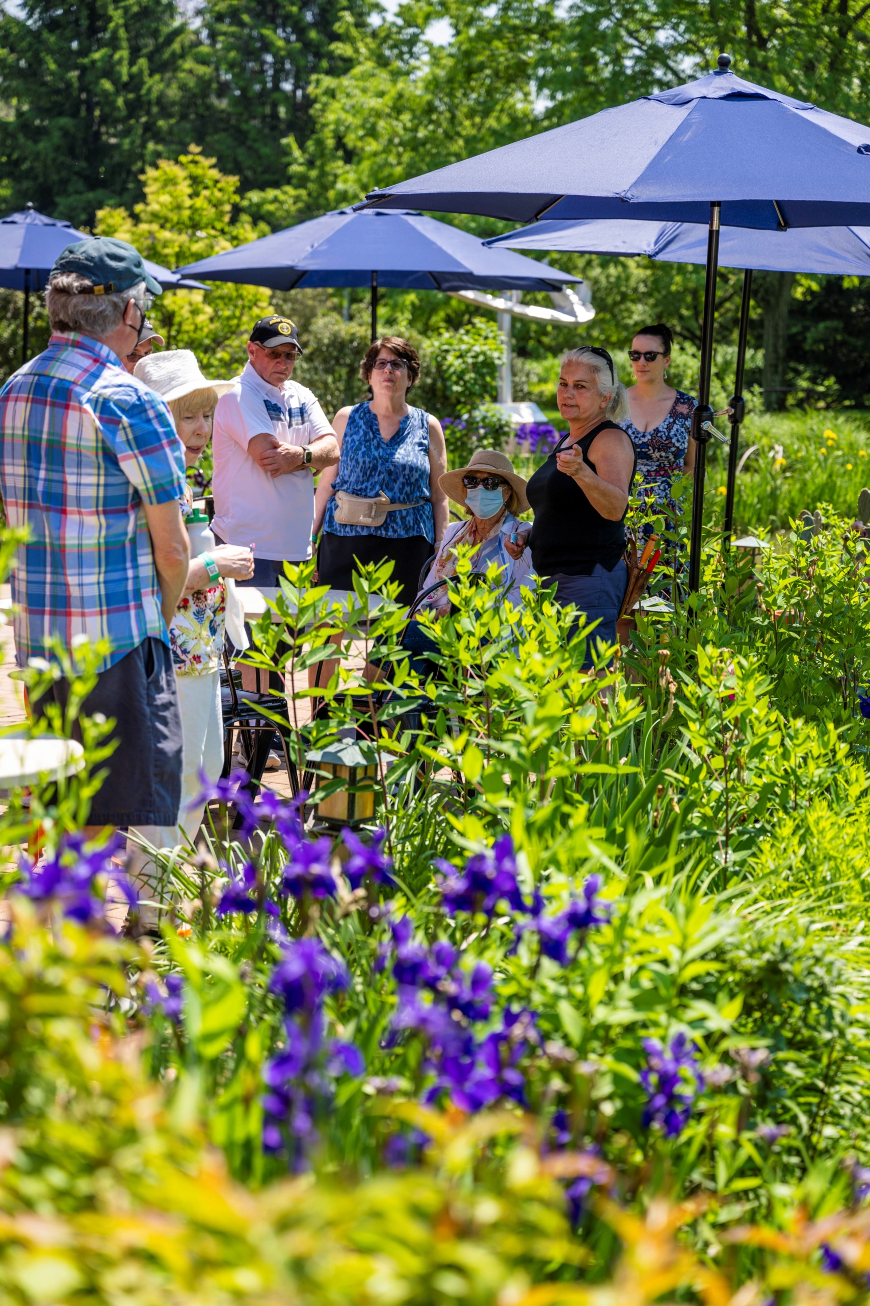 Director of Horticulture Janis Napoli giving a tour to guests amid spring foliage.