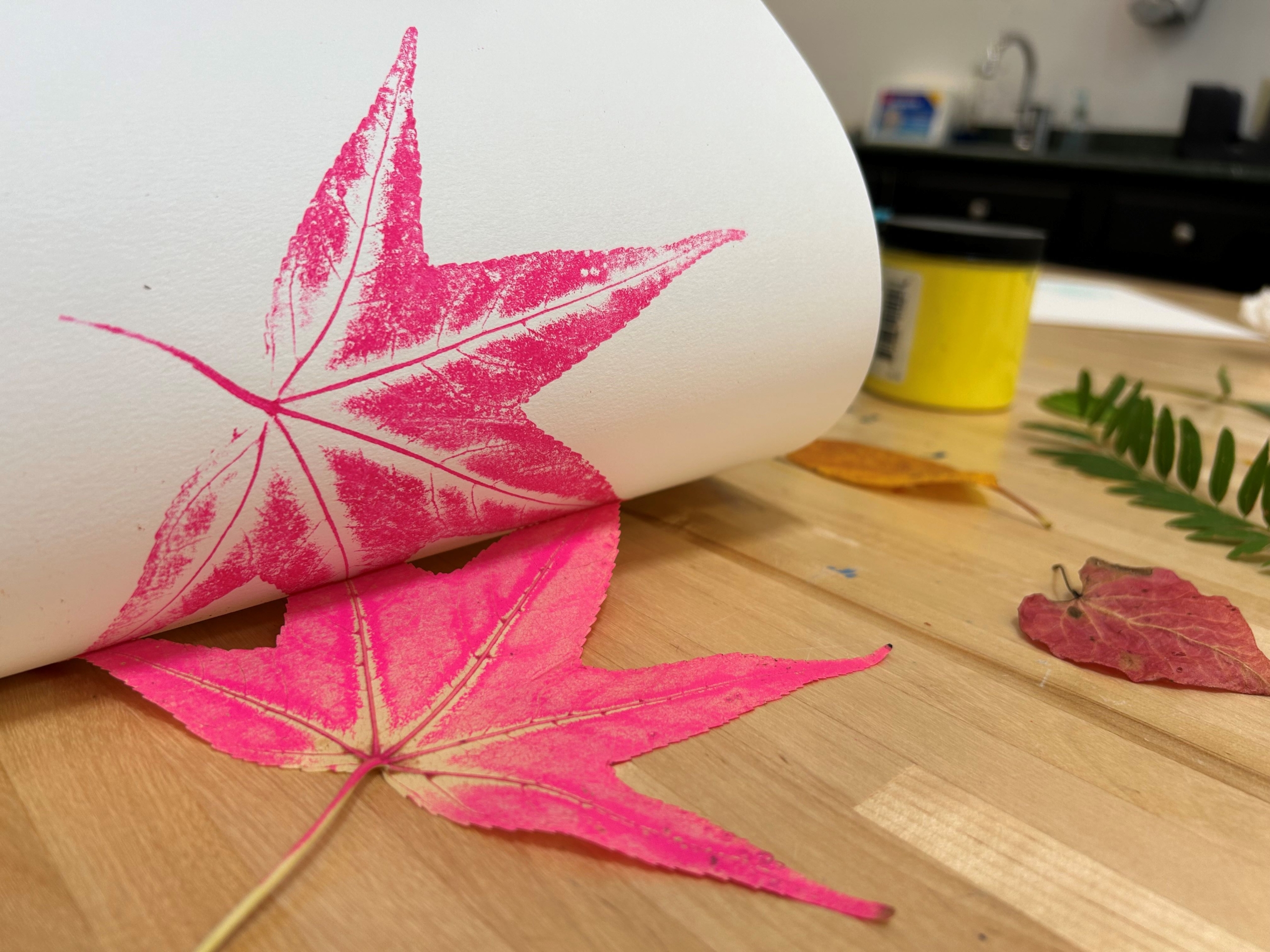 A piece of paper rolled back to reveal a pink leaf print on it.