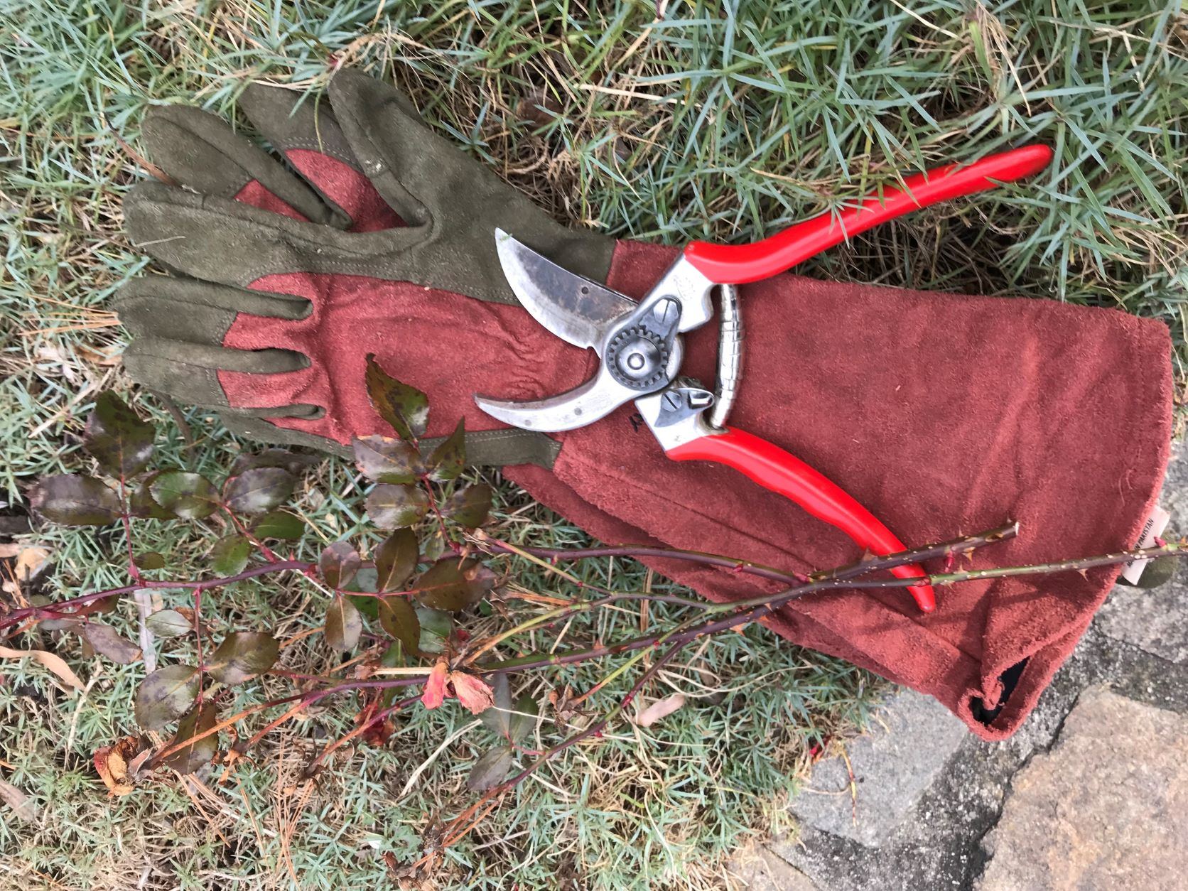 Red gardening gloves on the ground under a pair of red handled shears