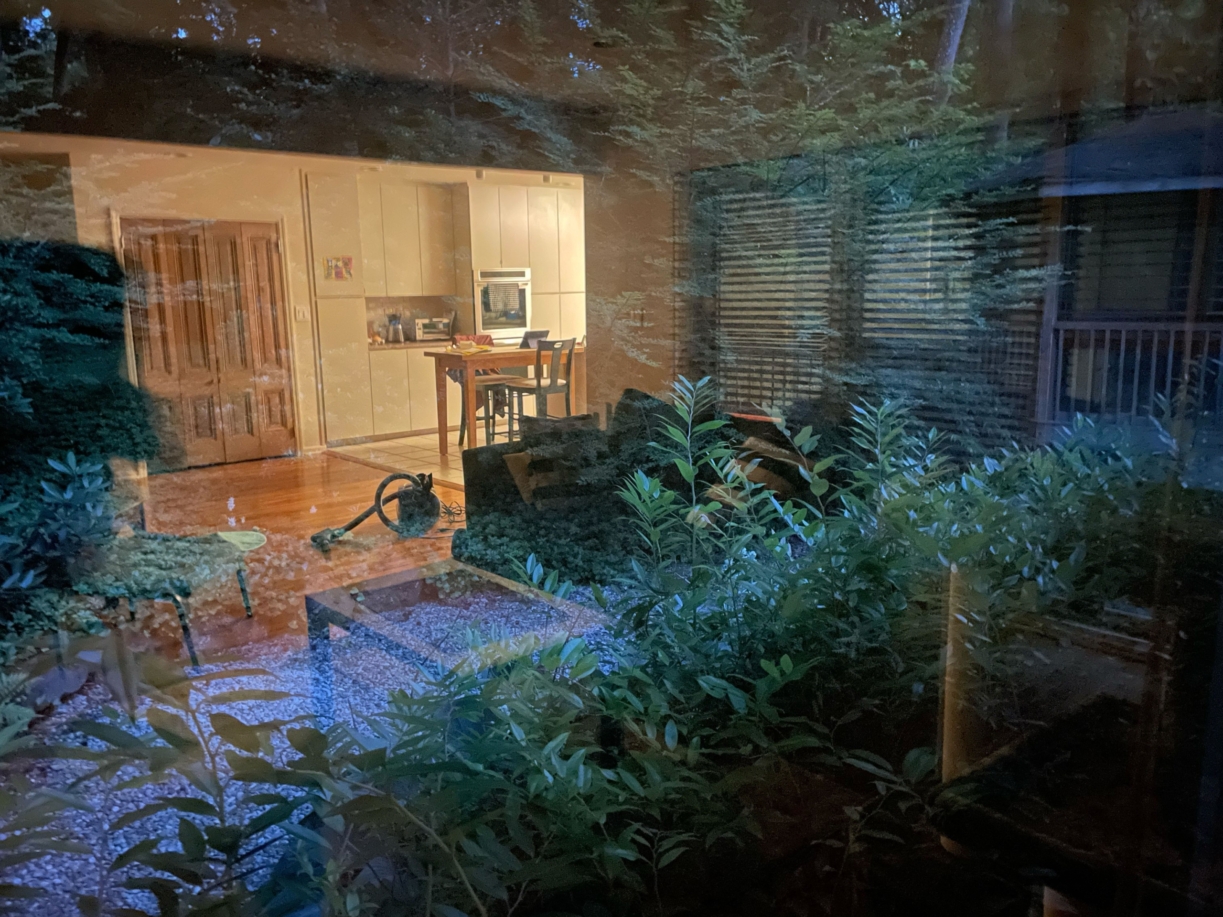 MEMBERS' MUSINGS: LIGHT AS MATERIAL