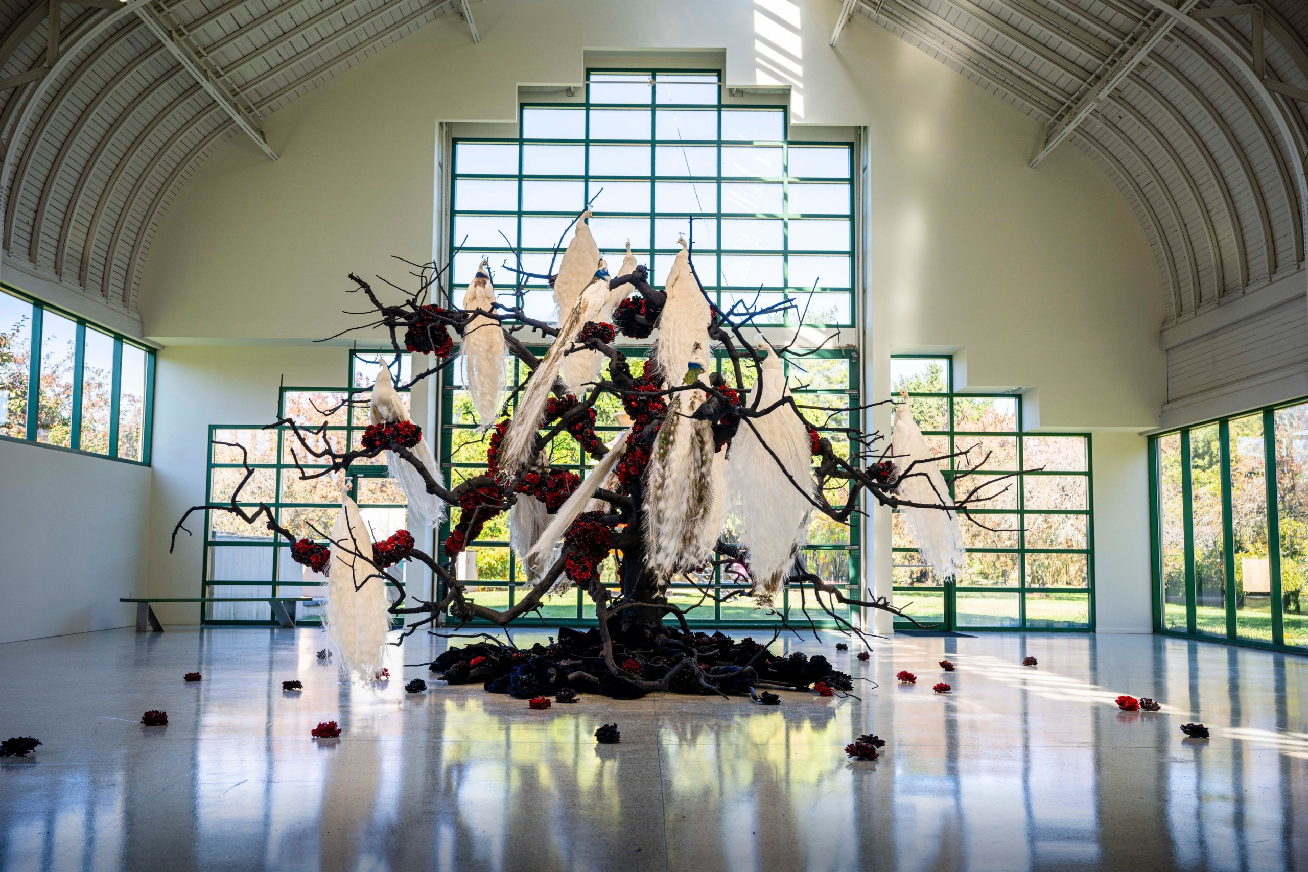 A shot of Untitled #1383 (Sisters- Two Trees) in the Museum Building. It features ten white taxidermied peacocks perched on the branches of a tree with red roses.