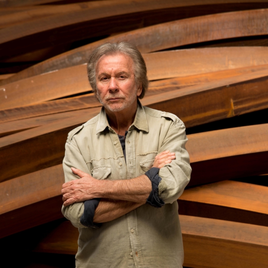 Bernar Venet 1