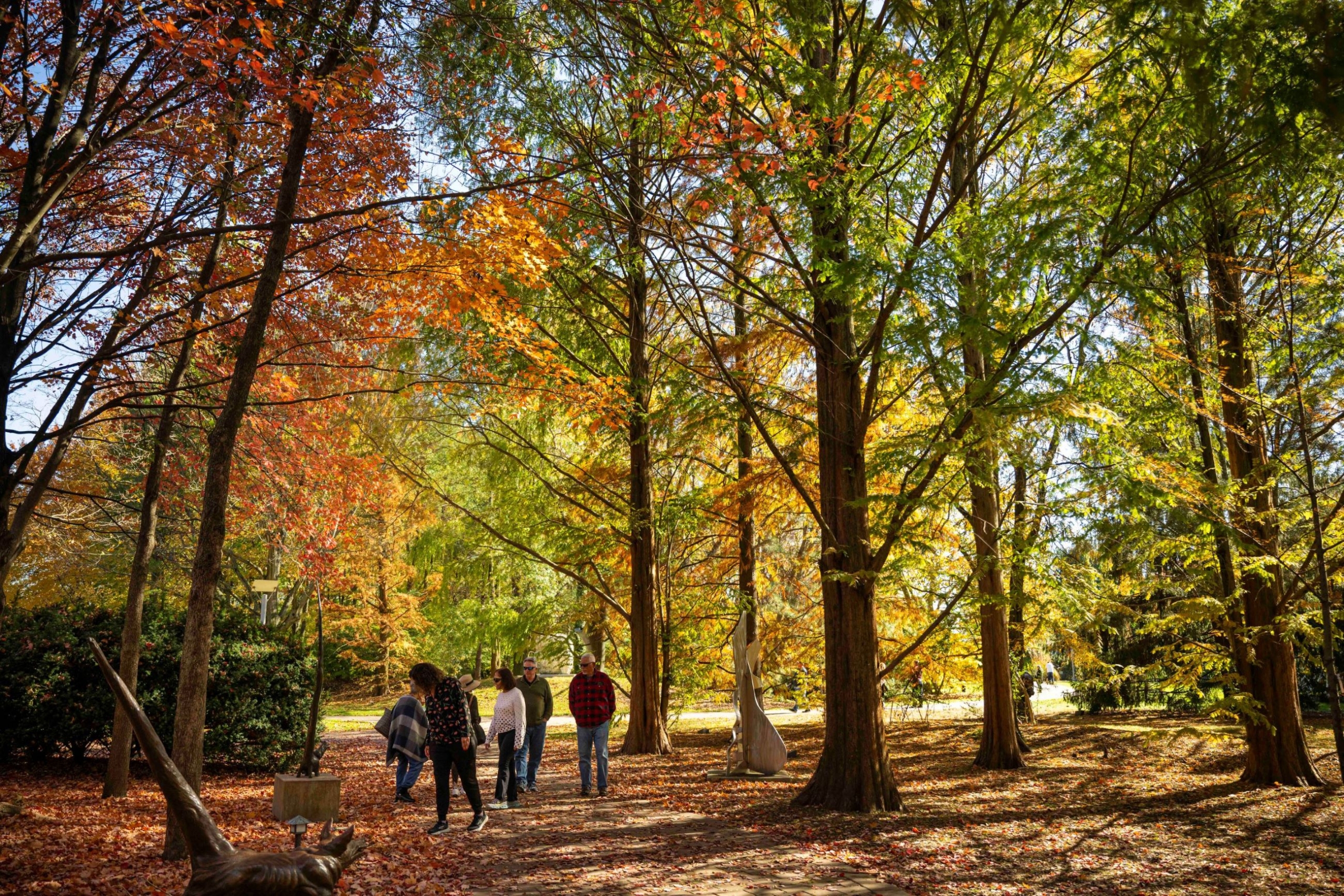 A fall foliage shot.
