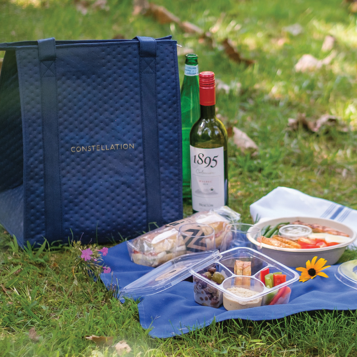 Picnic In The Park