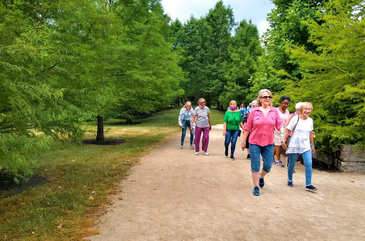 A group of seniors walking down a tree lined path at GFS.