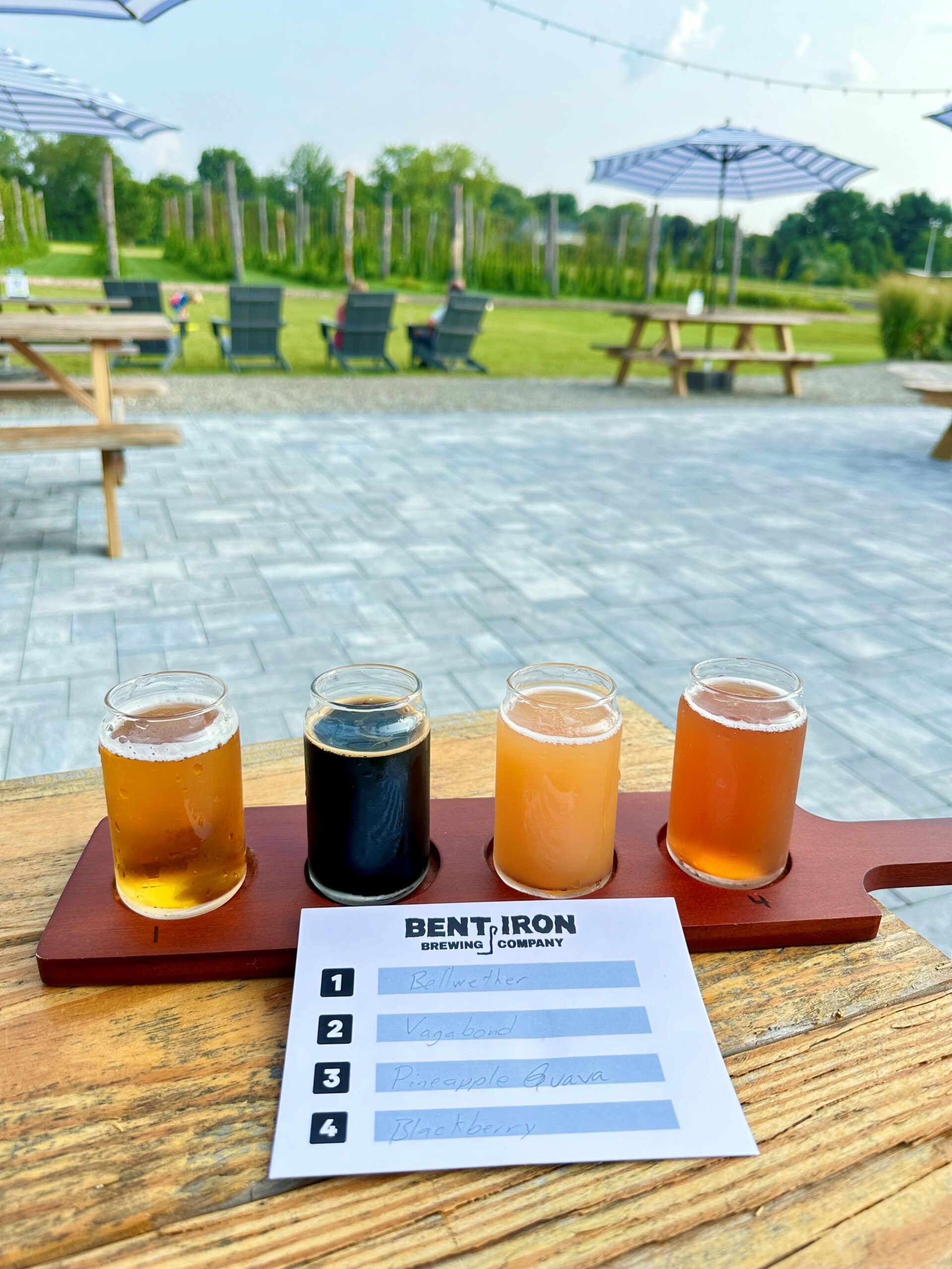 A flight of four beers at an outdoor brewery.