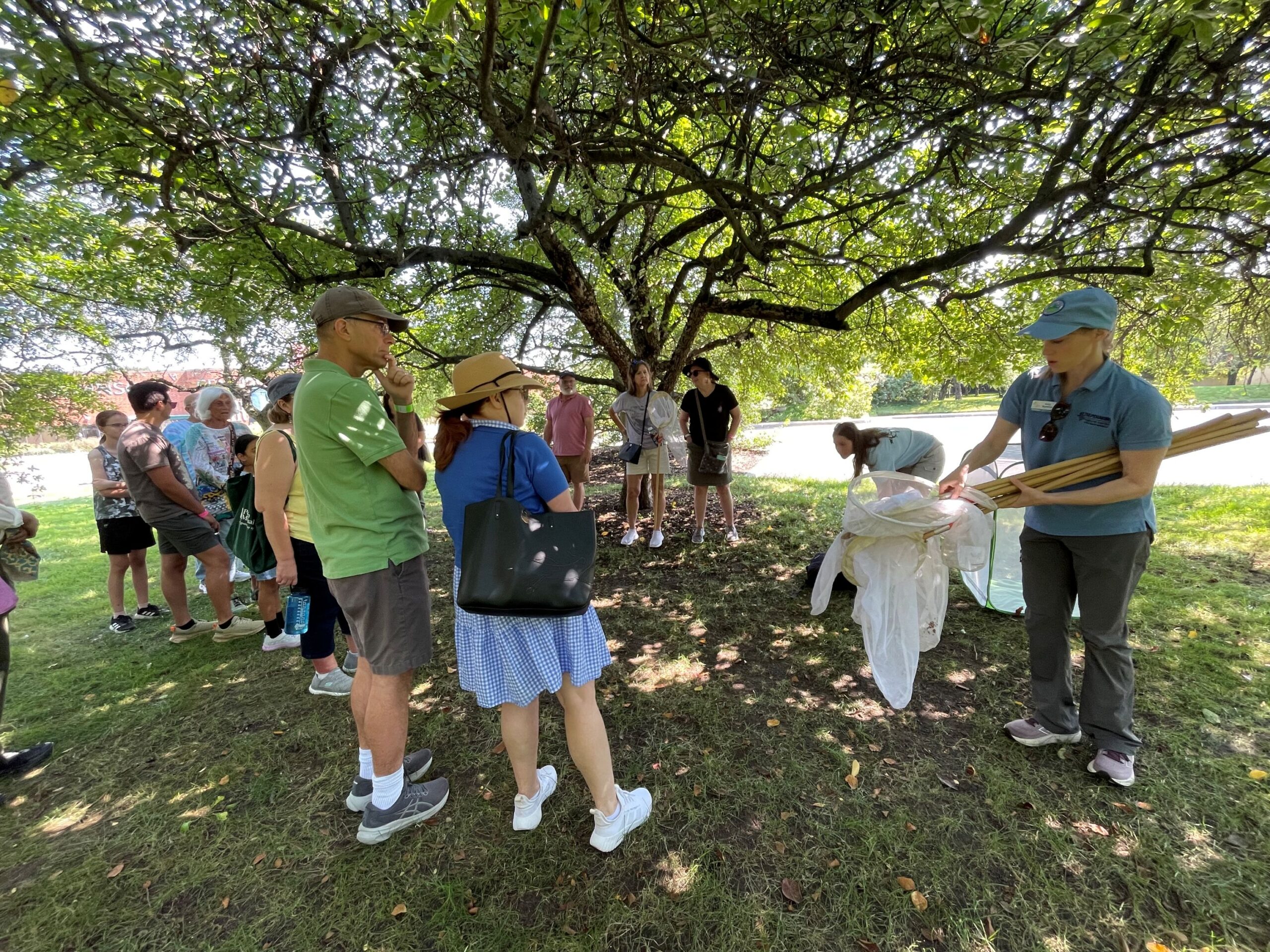 A tour group of children and adults on a butterfly tour. The guide holds a white net with a long handle.