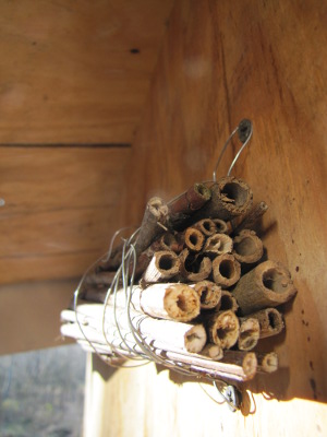 A handmade bee house on a wall.