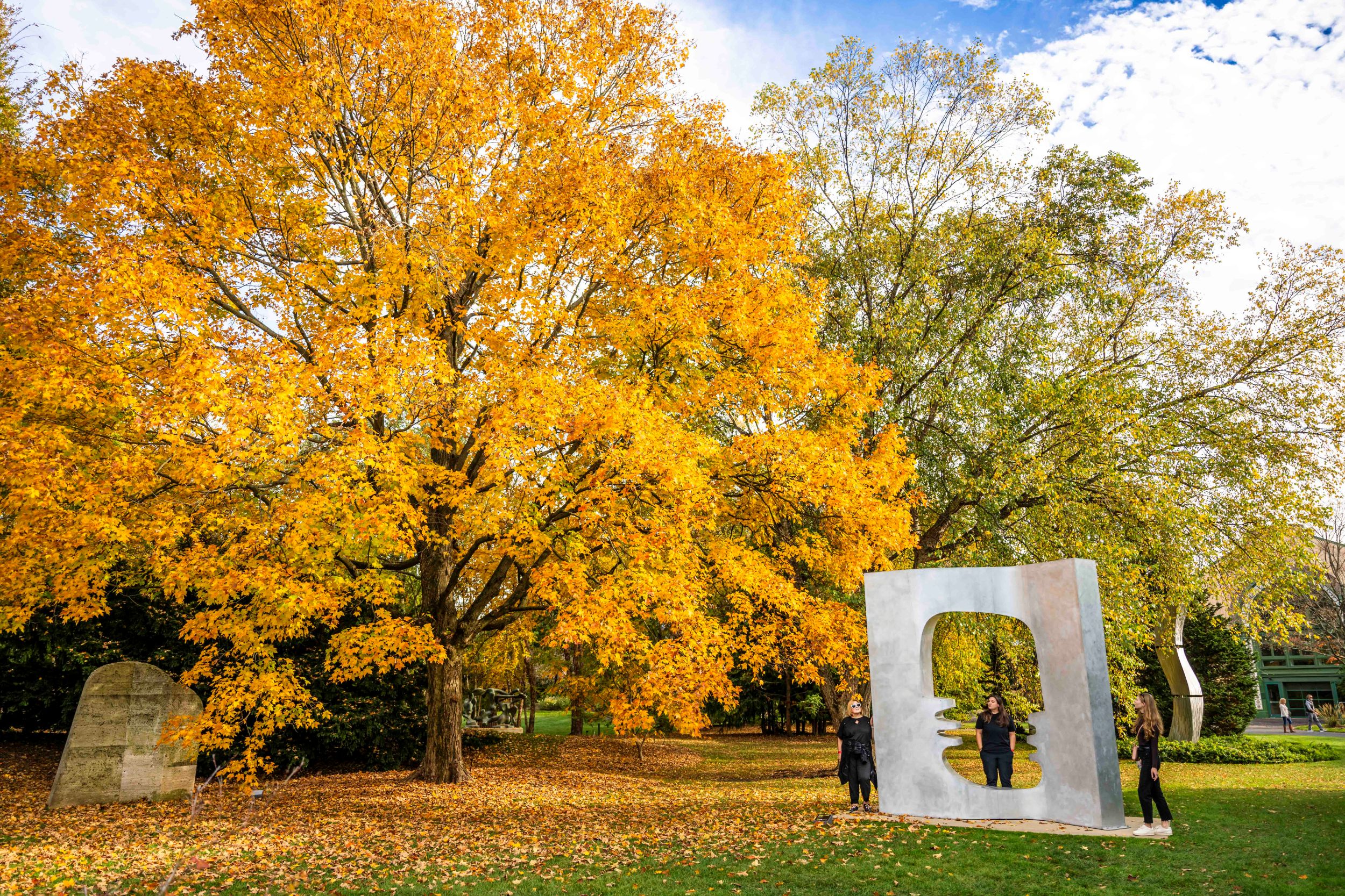 A large tree with orange leaves, surrounded by a circle of fallen leaves. To the right is a rectangular aluminum sculpture.